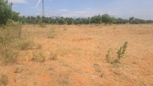 2 Acre Farm land near radhapurm