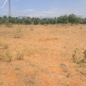 2 Acre Farm land near radhapurm