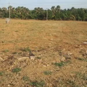 35 cent Commercial/ Residential plot near kudankulam